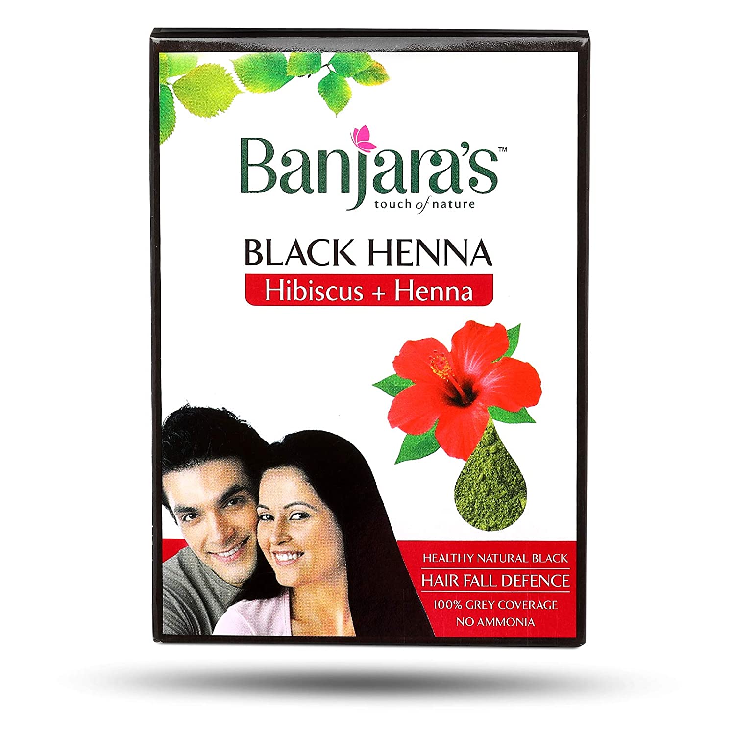 BANJARAS BLACK HENNA HIBISCUS 10